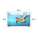 SHINON SH-75X25 60hz 4K Ultra HD Smart TV, 75 Inch شاشة حجم 75 شينون