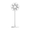 XIAOMI 38755-Mi Smart Standing Fan 2 Pro