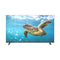 SUNNY AMQ75WOS WebOS 2.0 DVB-T2/S2 UHD Panel, 75 Inch شاشة سني حجم 75