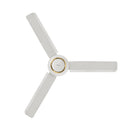 PANASONIC F-56XZ2TBGJXR Decorative Ring Series Ceiling Fan مروحة سقفية باناسونيك