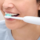 PHILIPS HX6014/14 Sonicare C1 ProResults 4-Pack Brush Heads, White رؤوس فرشاة سونيكير سي 1 برو ريزالتس، عبوة من 4 قطع فلبس