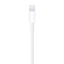 APPLE MD819ZM-A Lightning to USB Cable (2m)