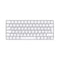 APPLE MK2A3AB-A Magic Keyboard (USB-C) - Arabic