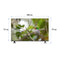 SHINON SH-55X25 60hz 4K DLED Smart TV, 55 Inch شاشة حجم 55 شينون
