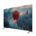 SHINON SH-85T1 4K Smart Android ATV, 85 Inch شاشة حجم 85 شينون