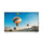SHINON SH98V3GTV Google TV, 98 Inch شاشة حجم 98 شينون