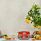 SMEG TSF01DGEU 2 Slice Toaster Sicily is my love, Decorated محمصة خبز ذات شريحتين