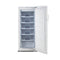 ELRYAN URF6DN Upright Freezer 13ft, White مجمدة عامودية 13 قدم الريان